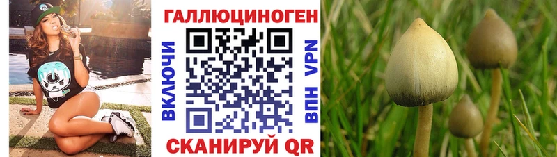 Галлюциногенные грибы ЛСД Никольск