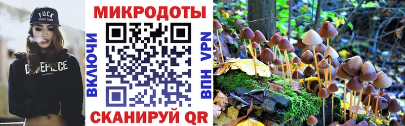 Галлюциногенные грибы Psilocybine cubensis  Никольск 
